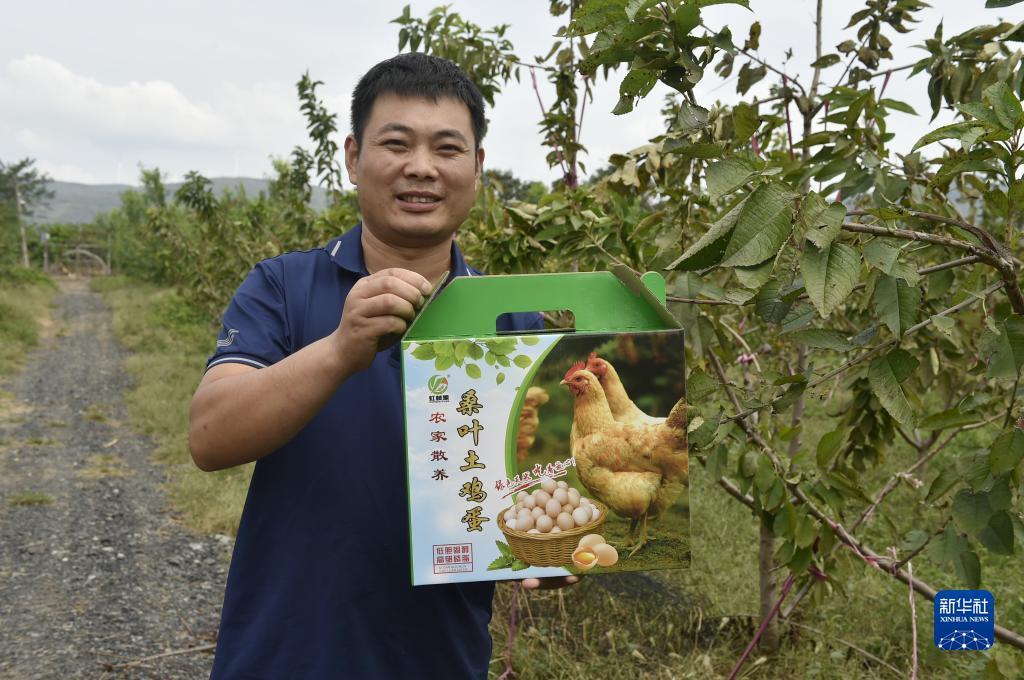 bet网站怎么样